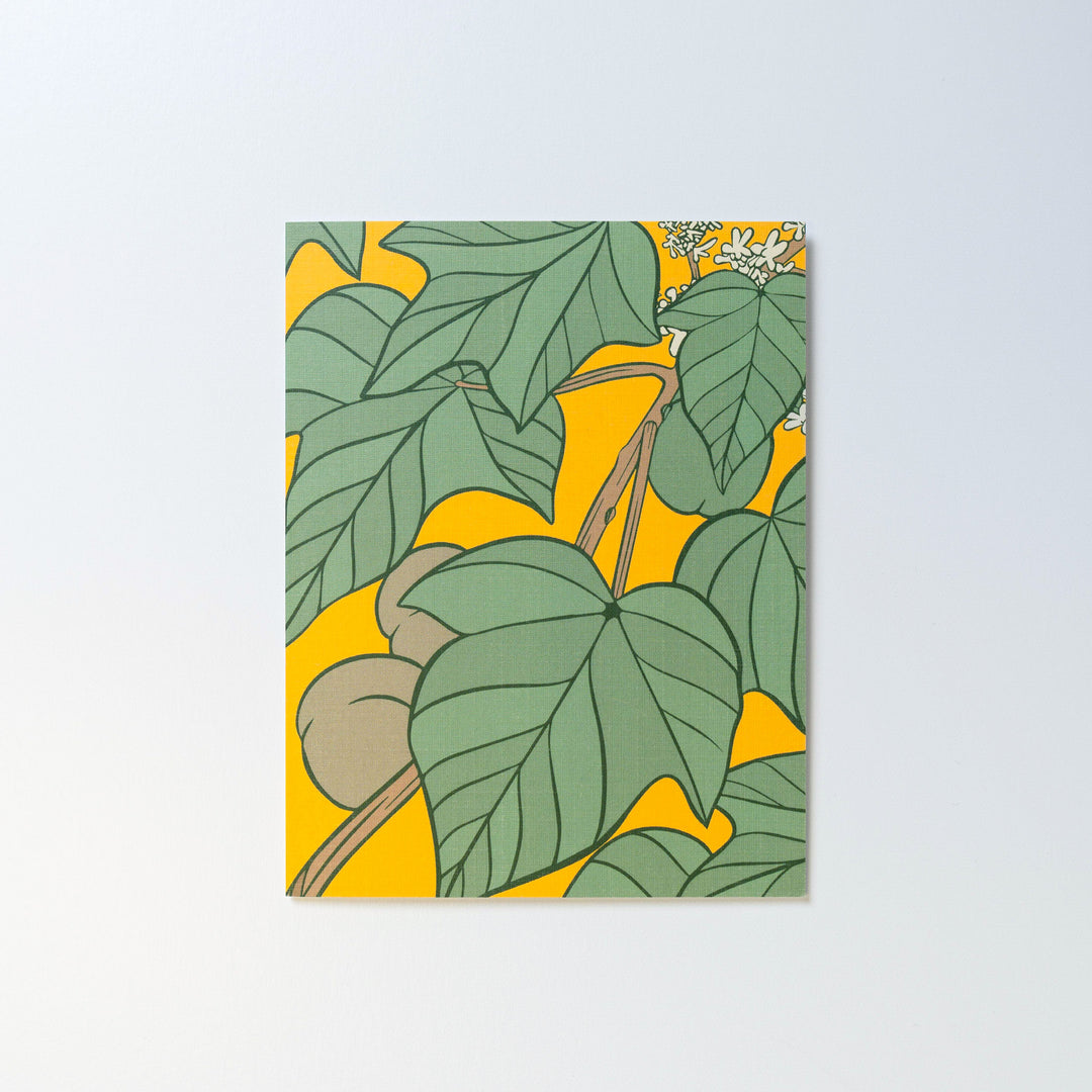 Kukui Canoe Plant Greeting Card