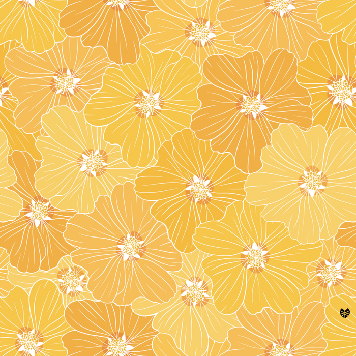 ʻIlima: More Than Just a Flower