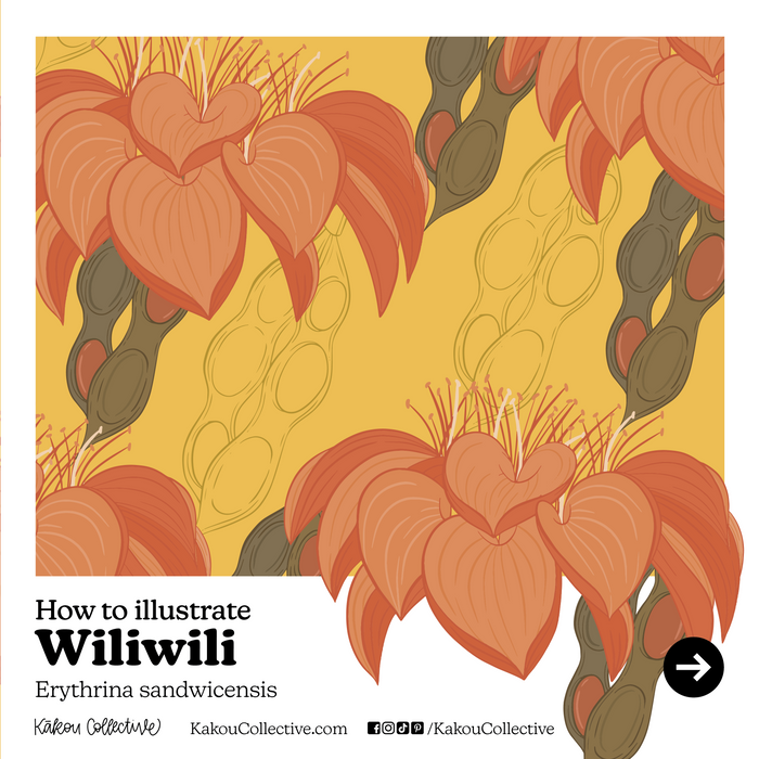 Wiliwili Tutorial by Kakou Collective