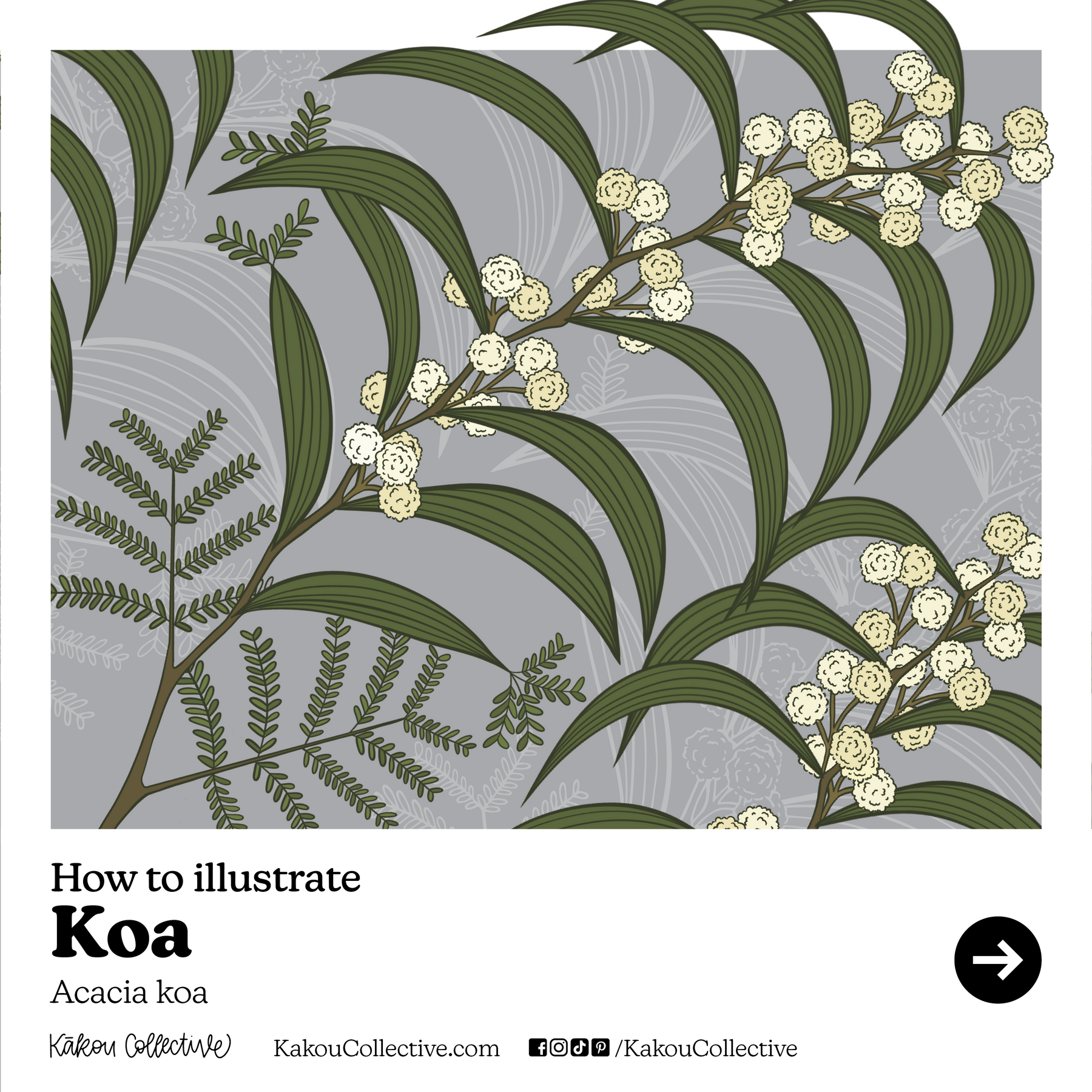Native Hawaiian Plant Month Day 3: Koa