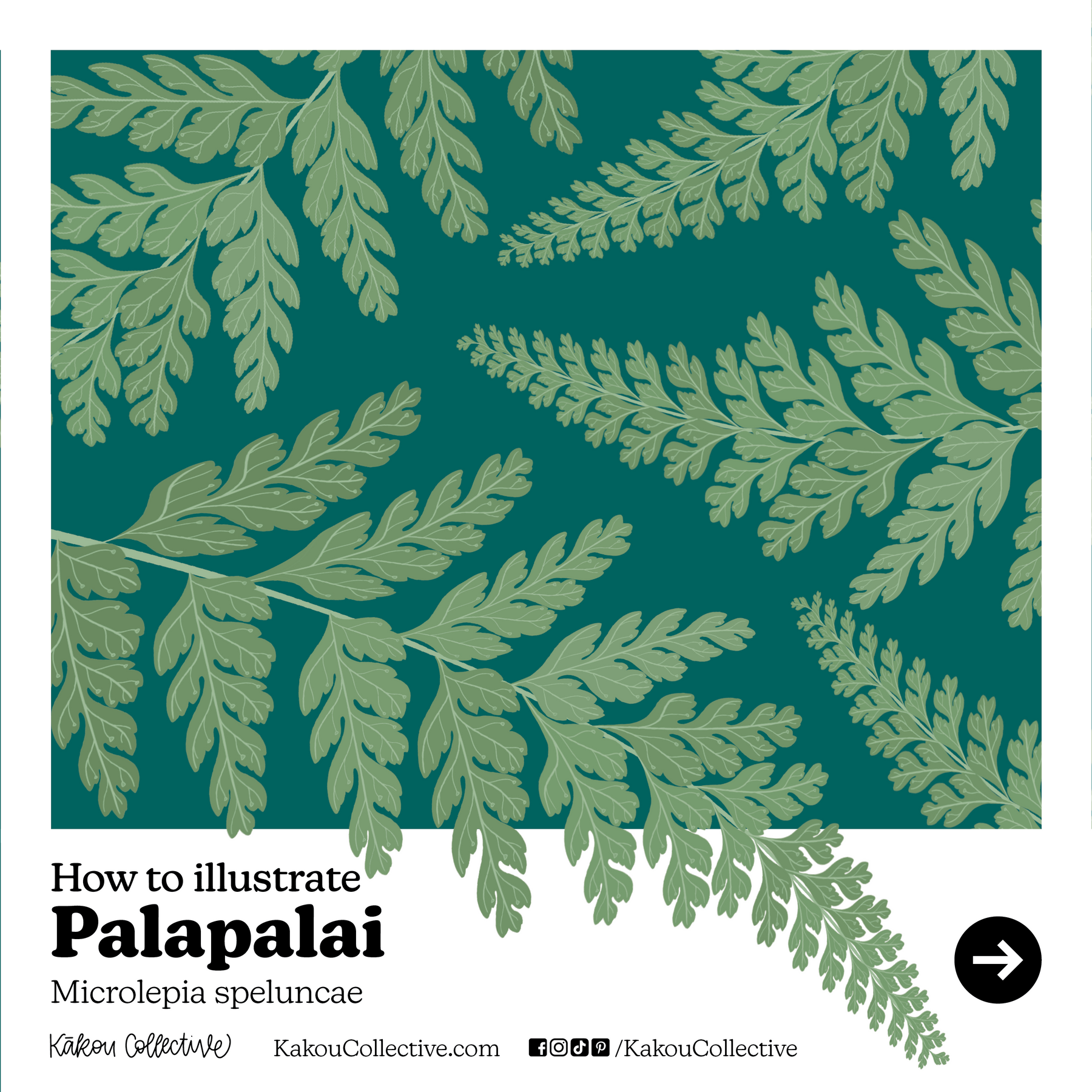 Native Hawaiian Plant Month Day 5: Palapalai