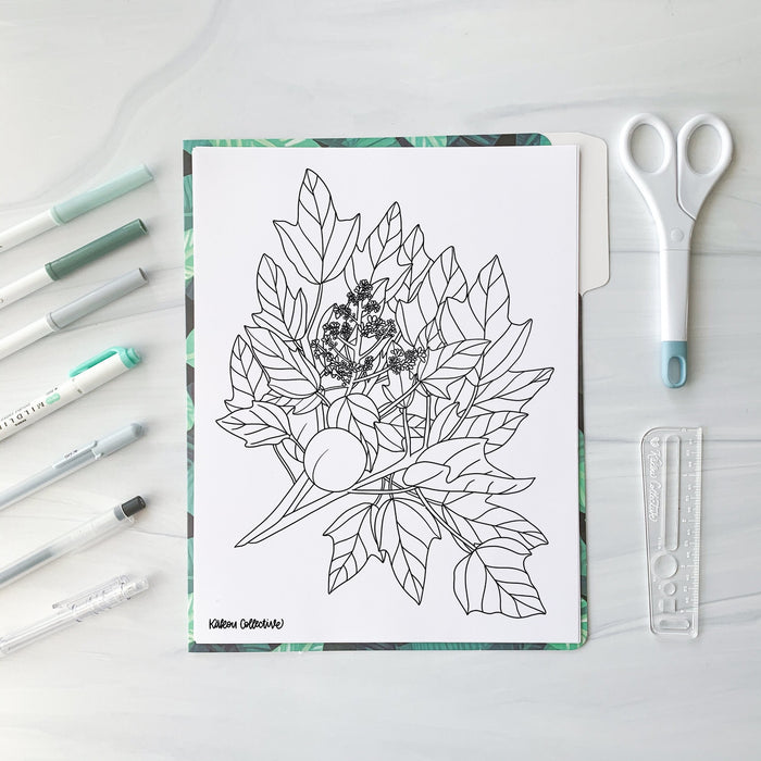 Kukui Coloring Page