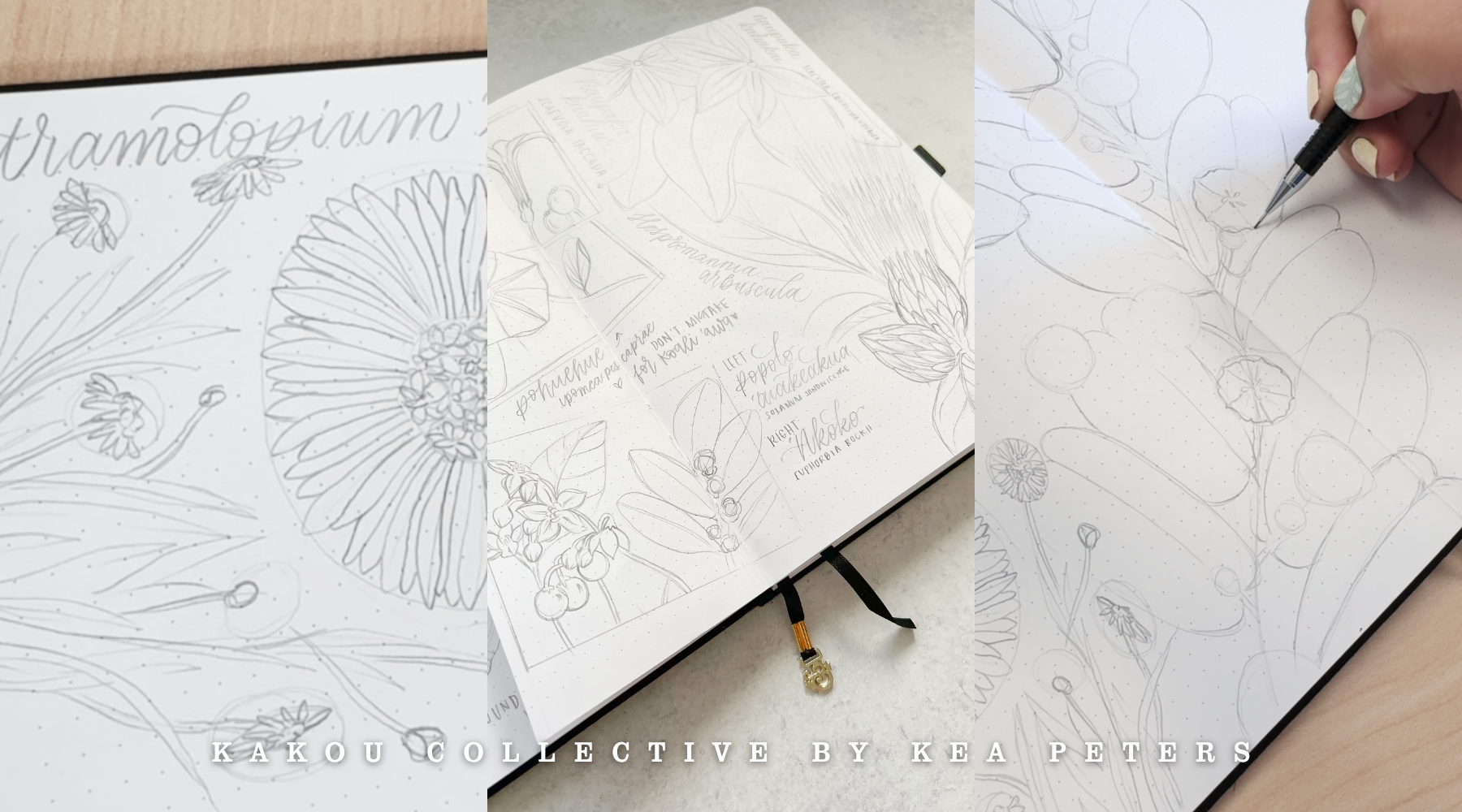 Feature: Native Plants Take the Spotlight - Kākou Collective in Hawai‘i Business Magazine