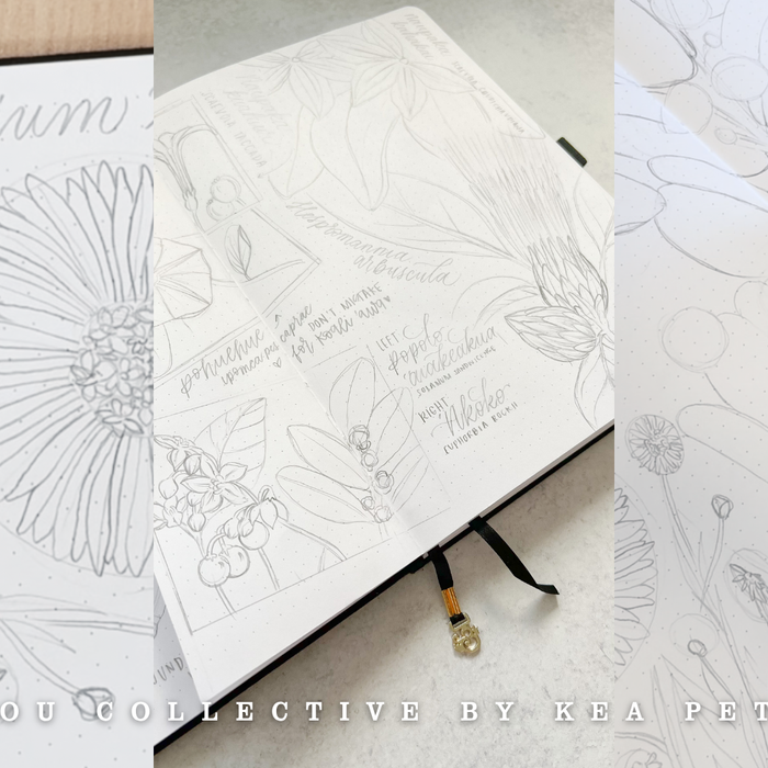 Feature: Native Plants Take the Spotlight - Kākou Collective in Hawai‘i Business Magazine