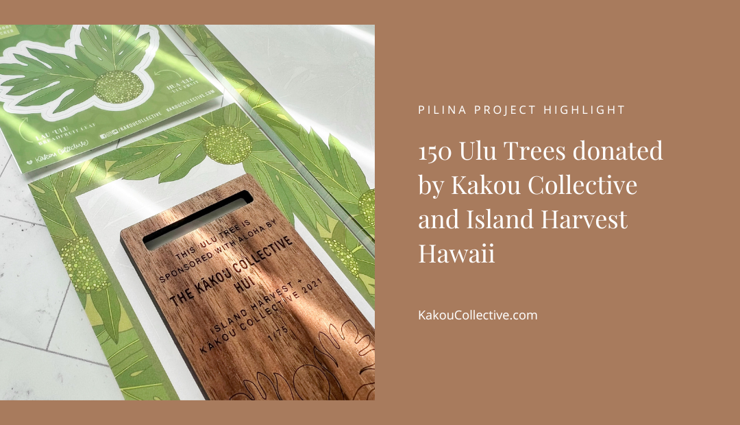 150 Ulu Trees Collectively Donated by Kakou Collective and Island Harvest Hawaii