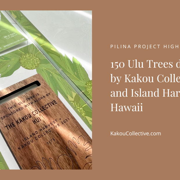 150 Ulu Trees Collectively Donated by Kakou Collective and Island Harvest Hawaii