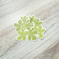 Pakalana Cluster Vinyl Sticker
