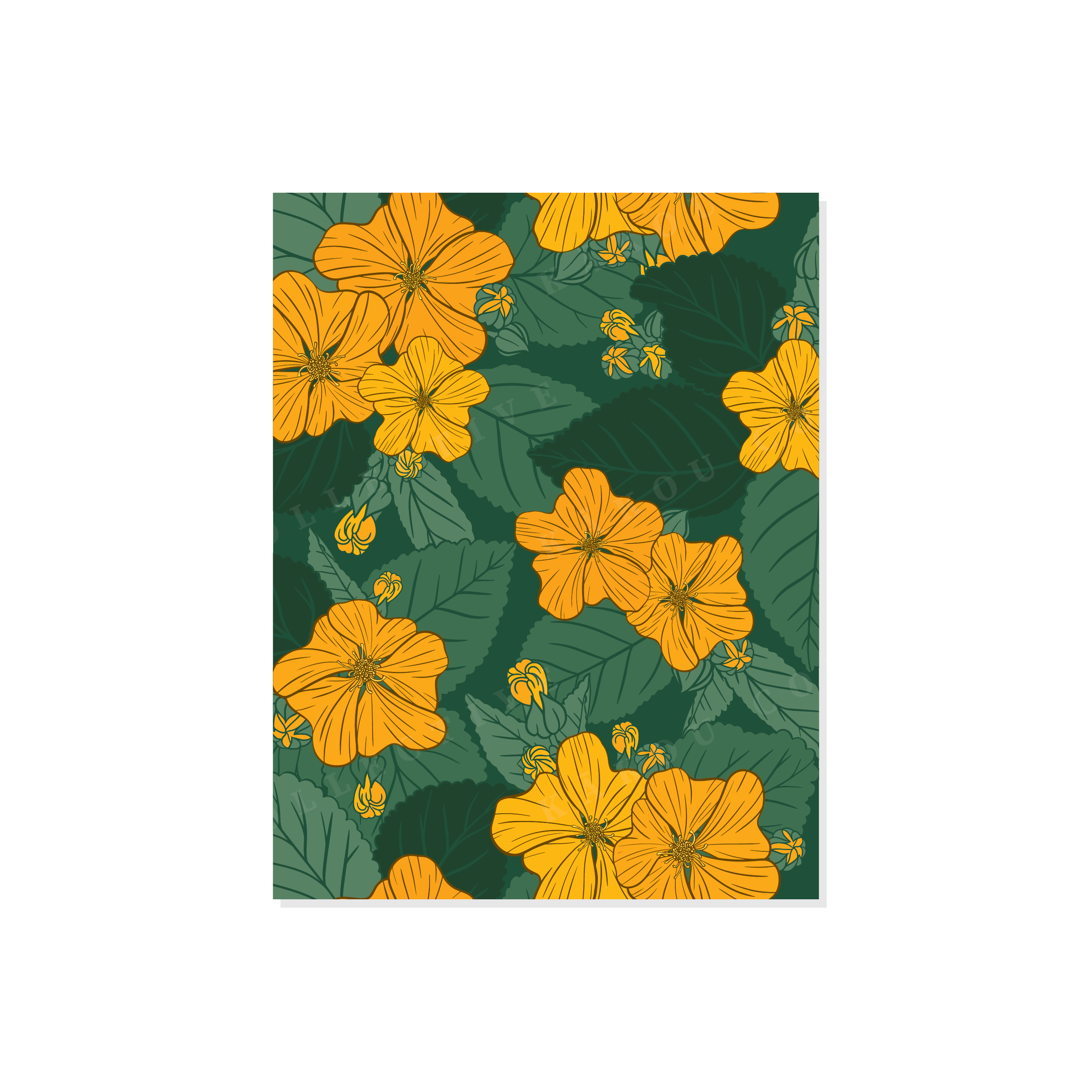 Dry Forest Greeting Card Collection