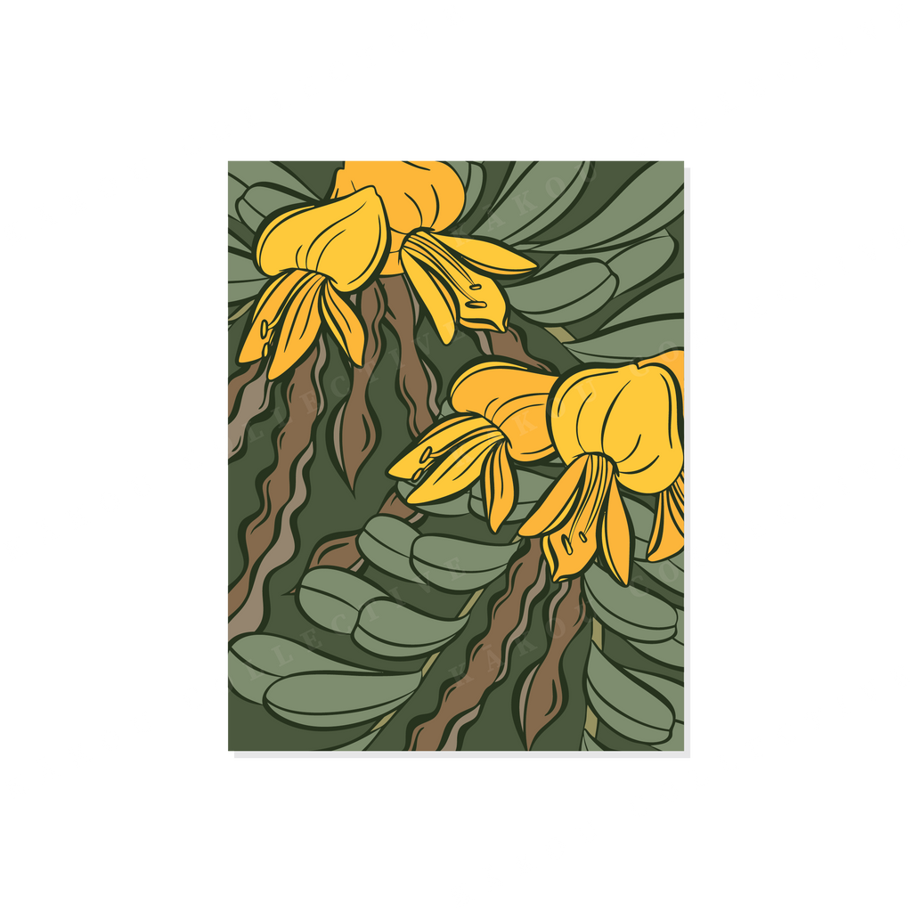 Dry Forest Greeting Card Collection