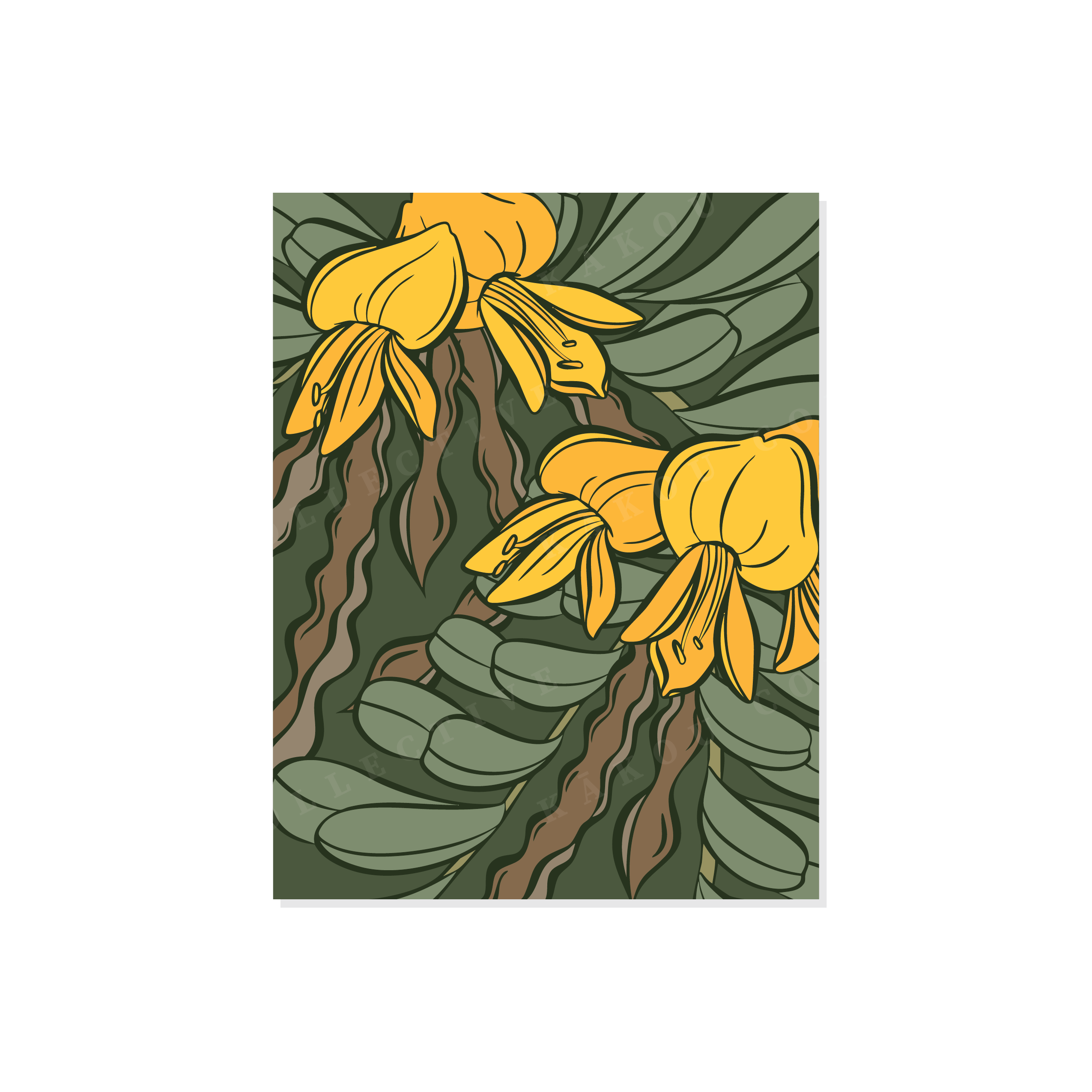 Dry Forest Greeting Card Collection