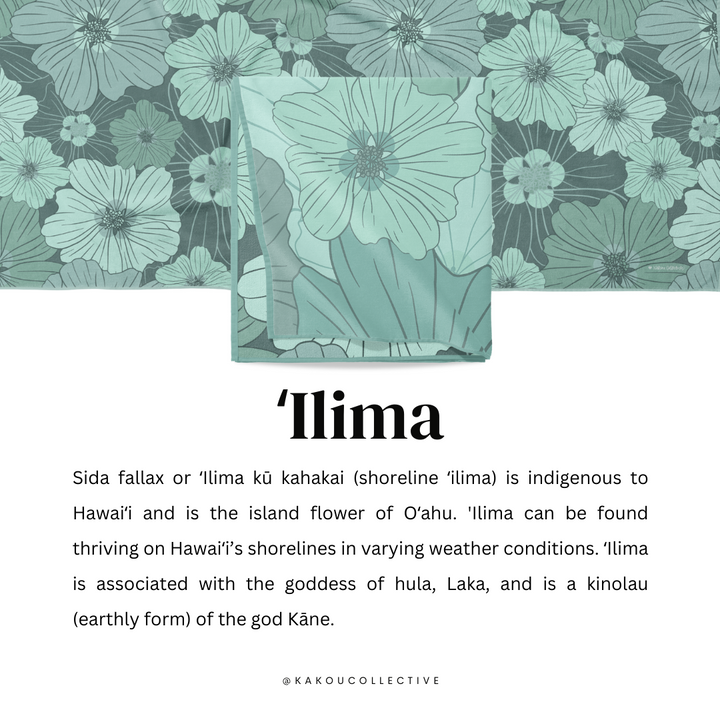 Ilima Microfiber Towel