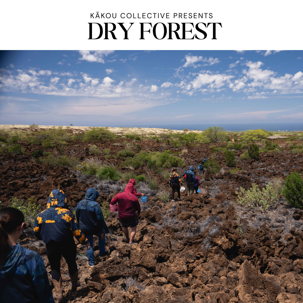 Dry Forest Collection Dri Fit Golf Polo Sugar Caddy x Kakou Collective