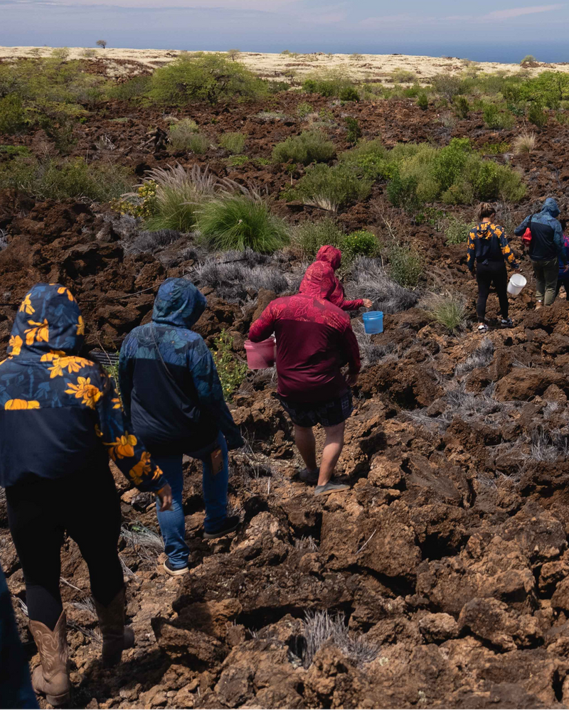 Group of people hiking through the Waikoloa dry forest landscape with 'Kakou Collective' branding.