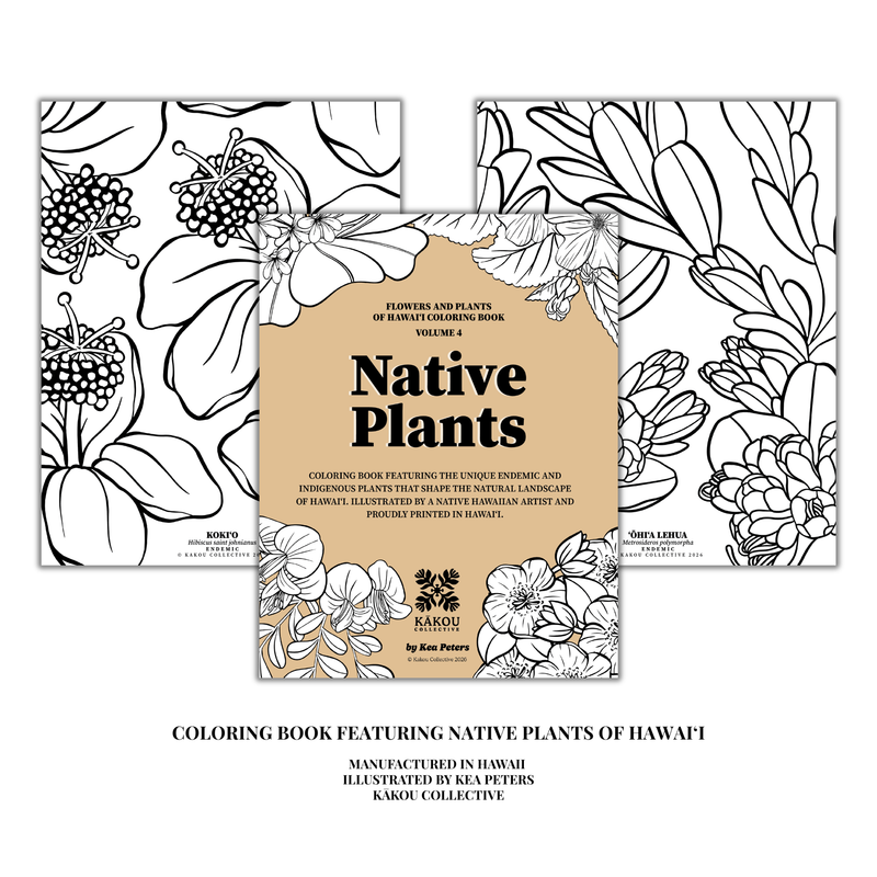 Coloring Book