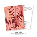 Canoe Plants II Greeting Card Collection