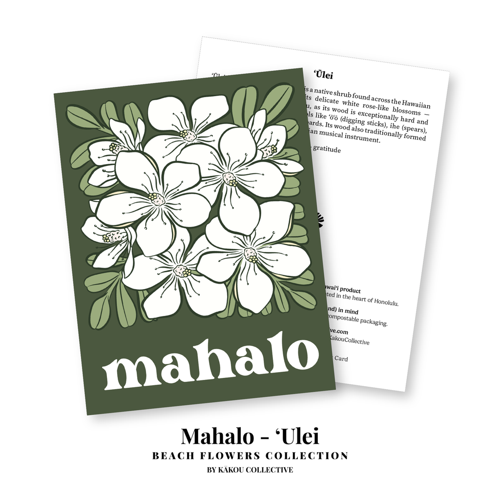 Beach Flowers Greeting Card Collection