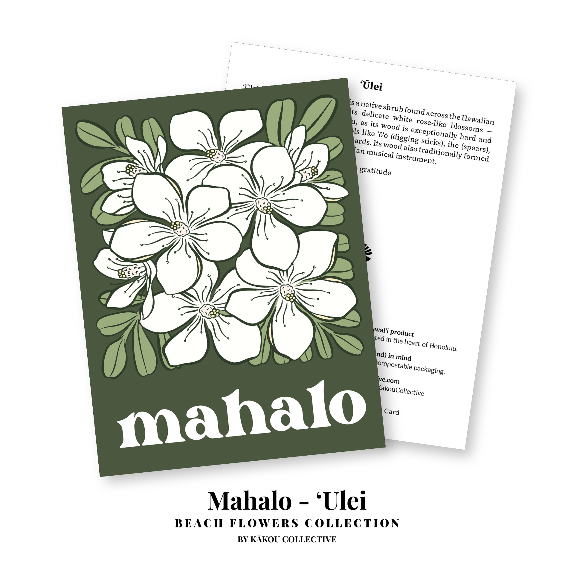 Beach Flowers Greeting Card Collection