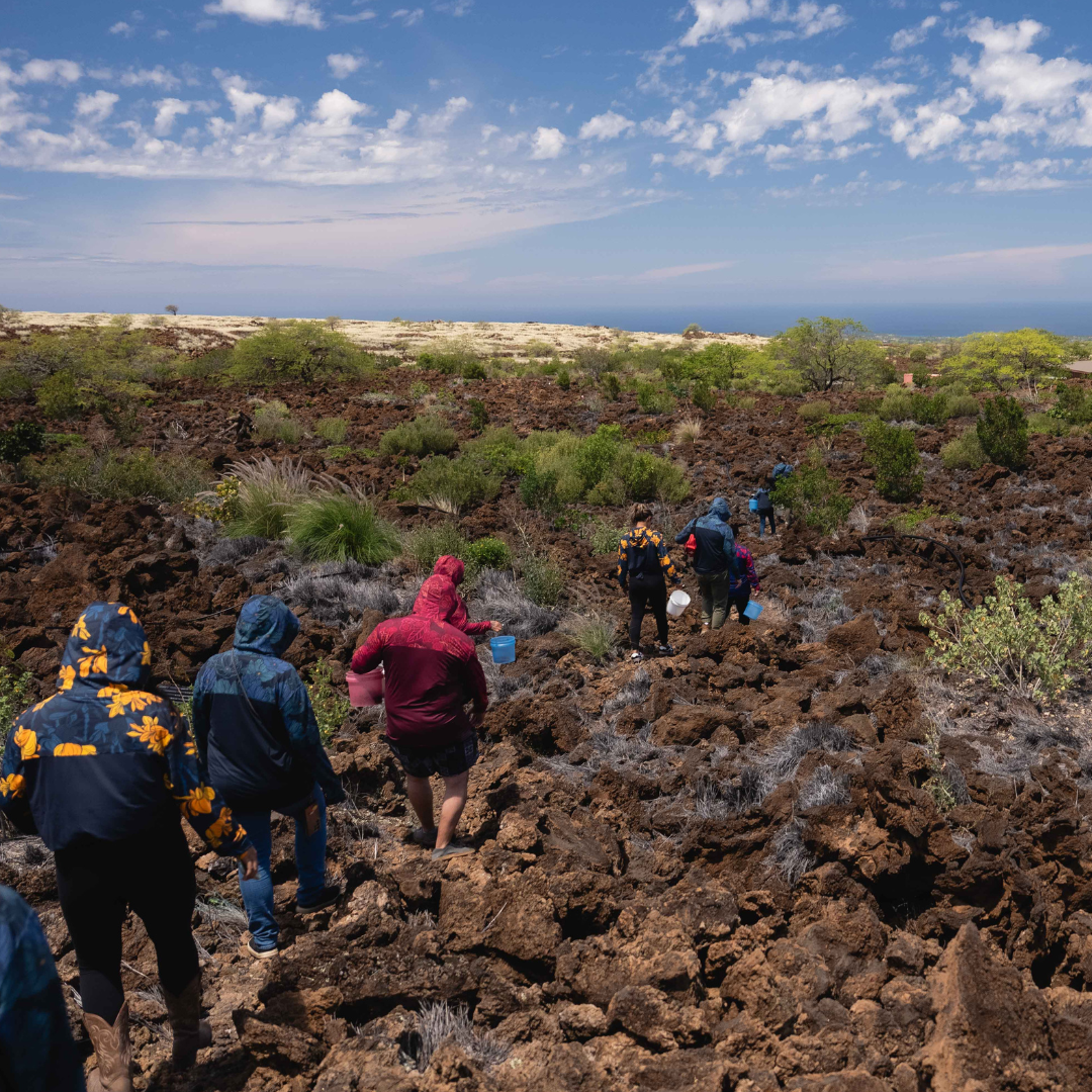 Group of people exploring a rocky landscape with a clear blue sky.