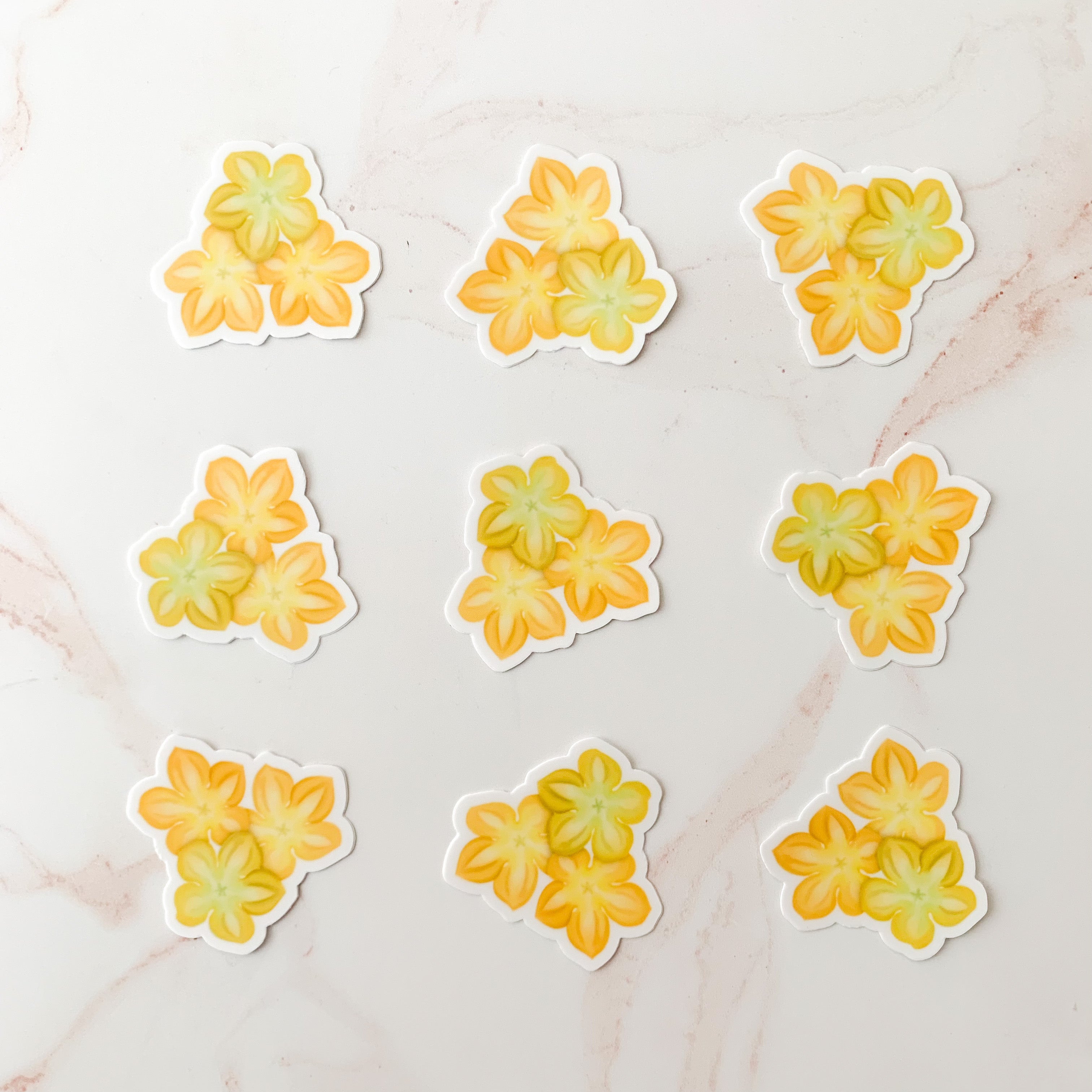 Pakalana Trio Sticker